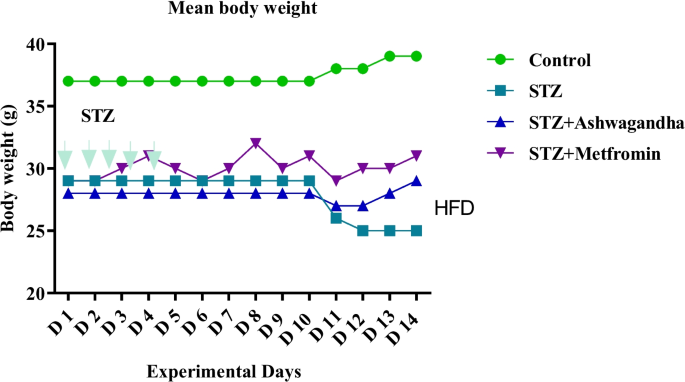 Anti-inflammatory and anti-diabetic role of Ashwagandha (Withania  somnifera) in a type 2 diabetes mellitus mouse model: a study using  histological, molecular, and pathological parameters | Protoplasma