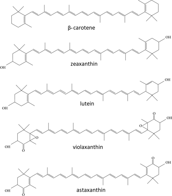 Carotenoids: Importance in Daily Life—Insight Gained from EPR and ENDOR |  Applied Magnetic Resonance