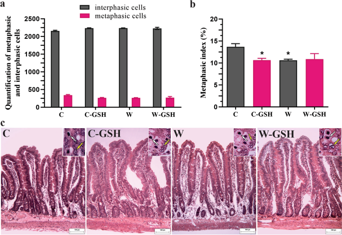 anal administration of glutathione Glutathione: pharmacological aspects and implications for clinical use Glutathione in Skin Aging and