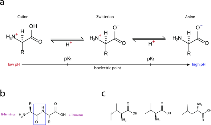 retatrutide and cagrilintide together Beware of counterfeit retatrutide and cagrilintide products retatrutide and cagrilintide together Beware of counterfeit retatrutide and cagrilintide products