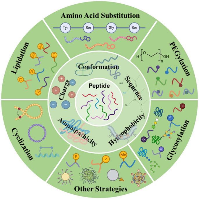profound aminos tirzepatide Therapeutic peptides: chemical strategies fortify peptides for enhanced  disease treatment efficacy | Amino Acids