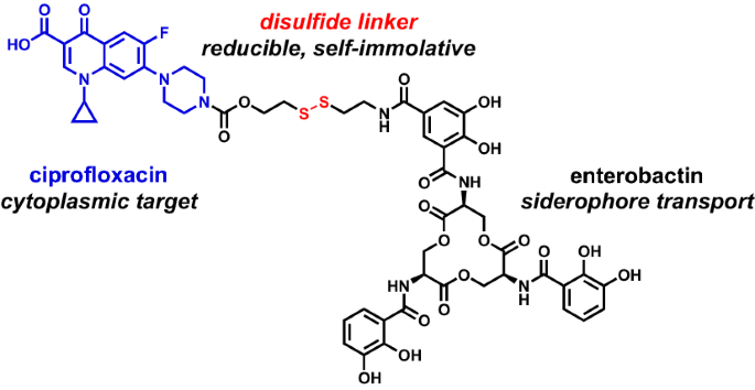 glutathione reducible linker Evaluation of a reducible disulfide linker for siderophore-mediated  delivery of antibiotics | JBIC Journal of Biological Inorganic Chemistry