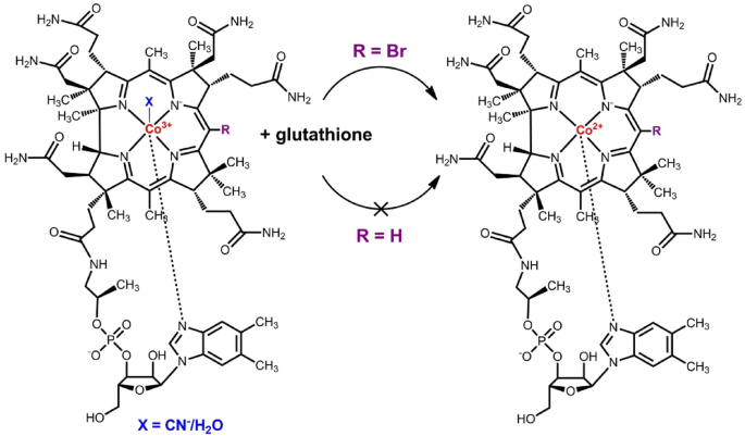 decrease glutathione chemical Reduced glutathione molecule hi-res stock photography and images