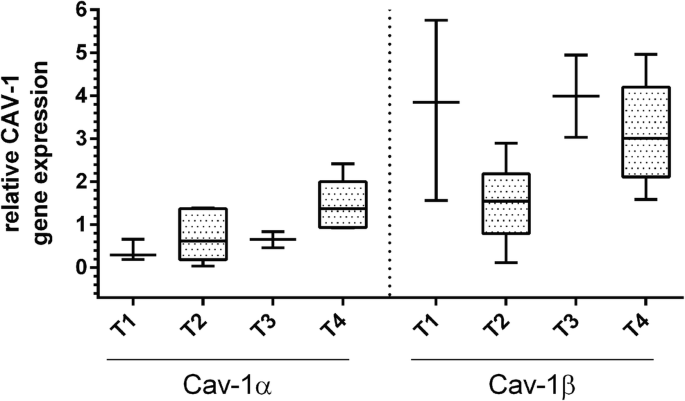 The different functions and clinical significances of caveolin-1 in human  adenocarcinoma and squamous cell carcinoma - Document - Gale OneFile:  Health and Medicine