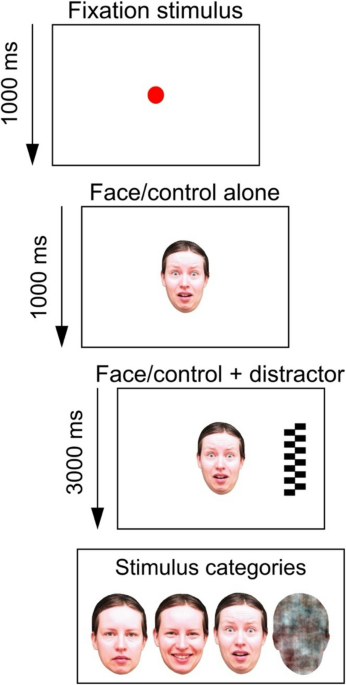 Neonatal amygdala and fear processing across early childhood - European Child & Adolescent Psychiatry