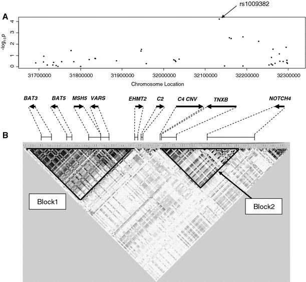 Identification Of A Significant Association Of A Single Nucleotide Polymorphism In Tnxb With Systemic Lupus Erythematosus In A Japanese Population Journal Of Human Genetics