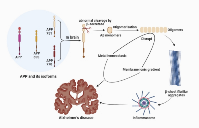 glutathione is it natural in body building 9 Health Benefits of Glutathione
