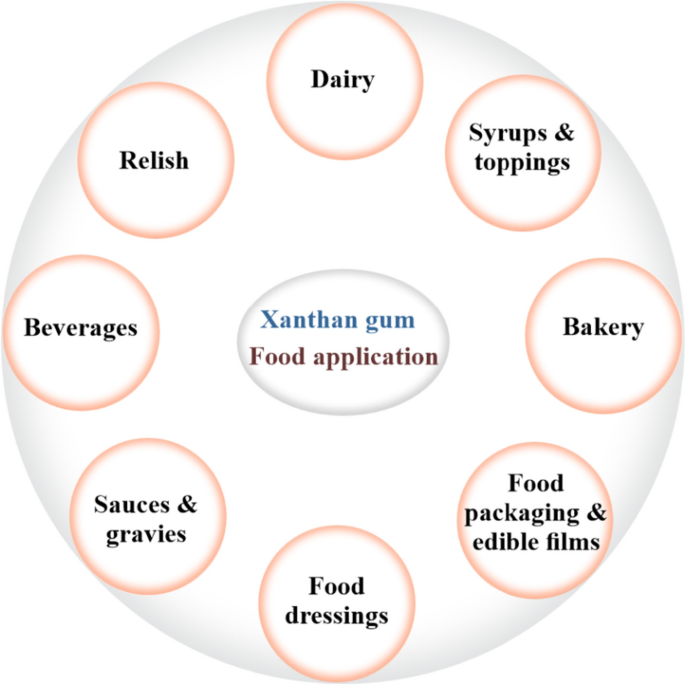 Mechanistic insights into consumption of the food additive xanthan gum by  the human gut microbiota