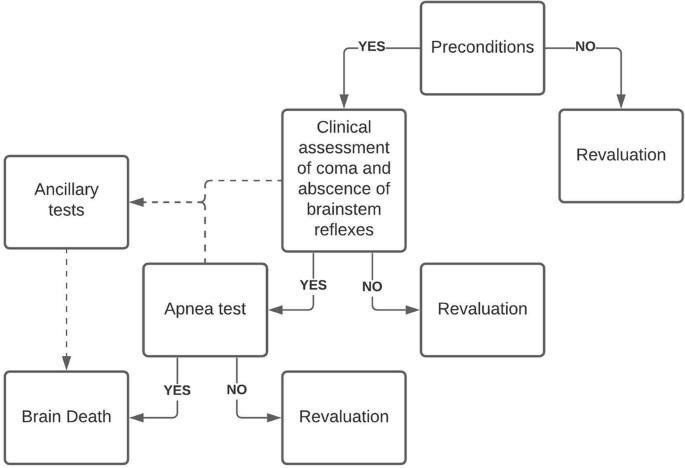 Apnea Testing During Brain Death Assessment: A Review of Clinical Practice  and Published Literature