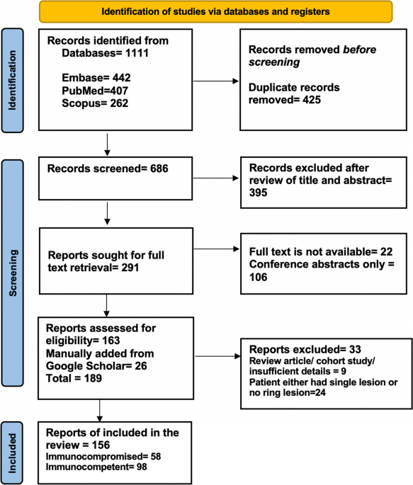 AI-based detection of contrast-enhancing MRI lesions in patients with  multiple sclerosis | Insights into Imaging | Full Text