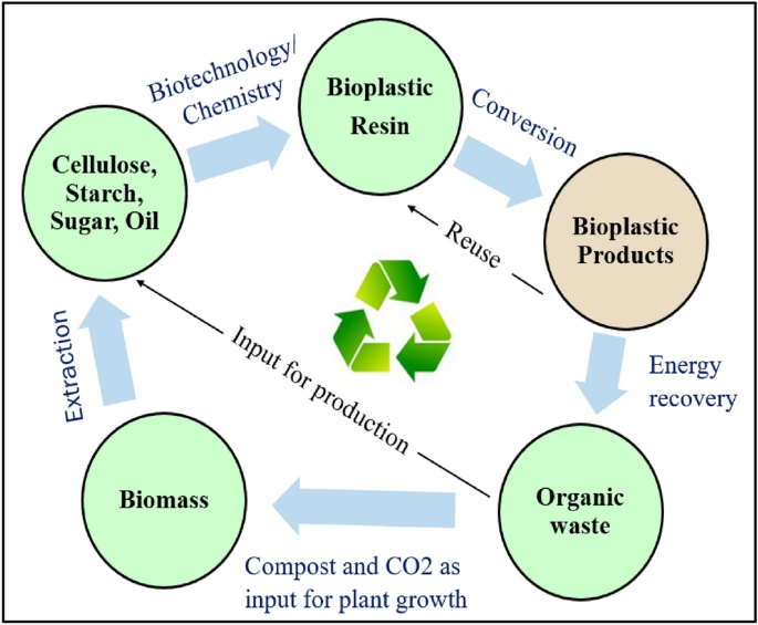 Current application of algae derivatives for bioplastic production: A  review - ScienceDirect