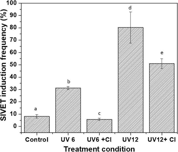 Simplified modeling of E. coli mortality after genome damage induced by UV-C  light exposure