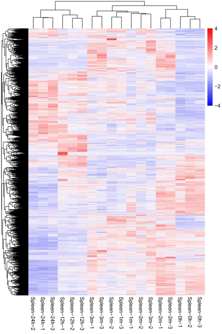 Frontiers  Splenic protection network revealed by transcriptome