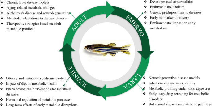 how to modulate glutathione in zebrafish Zebrafish metabolomics: a comprehensive approach to understanding health  and disease | Functional & Integrative Genomics