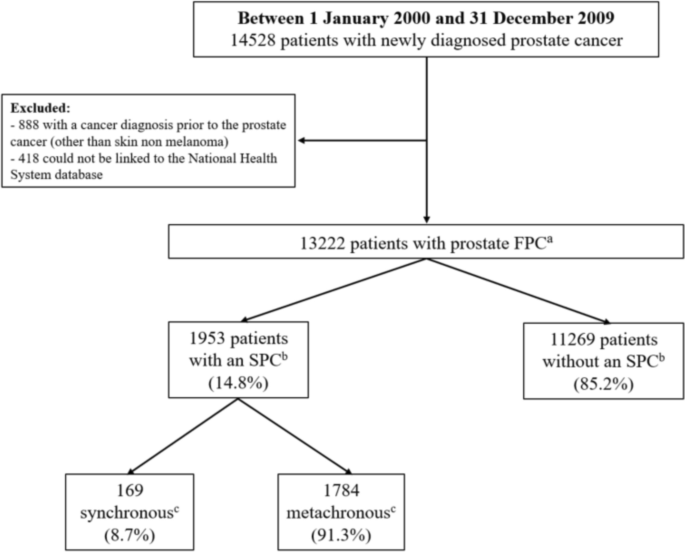 Second primary cancers among males with a first primary prostate cancer: a population-based study in Northern Portugal