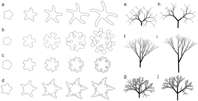 Theoretical models for branch formation in plants | Journal of Plant  Research | Springer Nature Link