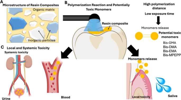 Toxicity of resin-matrix composites in a dental clinical setting | Odontology