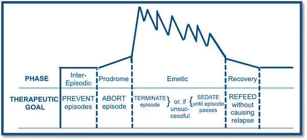 l-carnitine clinical dose l carnitine recommended dosage The Role of L-Carnitine in Distance Athletes
