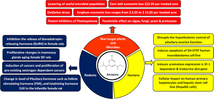glutathione conjugation an enzymatic basis for atrazine resistance in corn Toxicity, degradation and analysis of the herbicide | Environmental Chemistry Letters pollution defense cream AOD-9604 Vial 5mg | Quantity:4 Liter