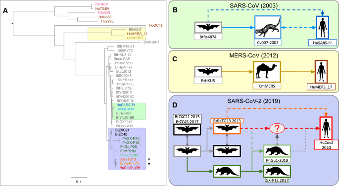 Reply to Garry: The origin of SARS-CoV-2 remains unresolved