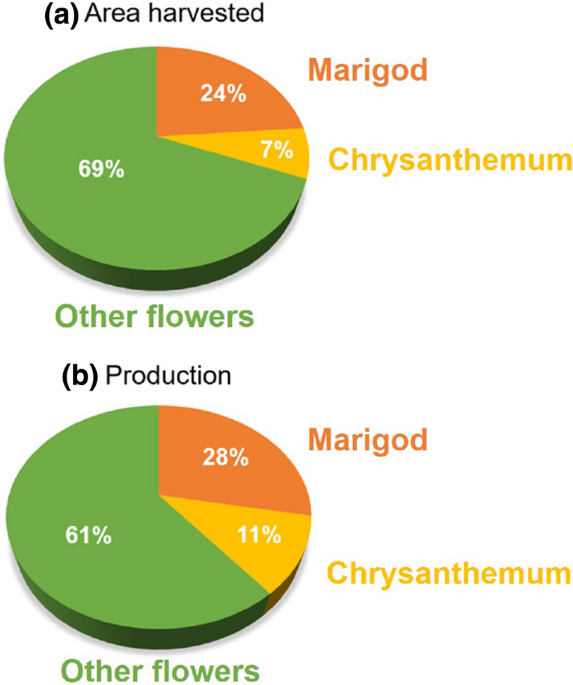 Zinc Phytoremediation Using Stubborn Grass