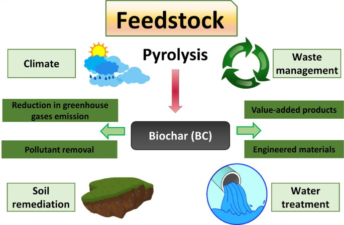 Biochar mitigates bioavailability and environmental risks of