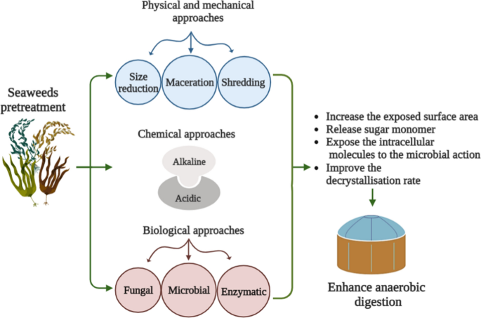 Current application of algae derivatives for bioplastic production: A  review - ScienceDirect