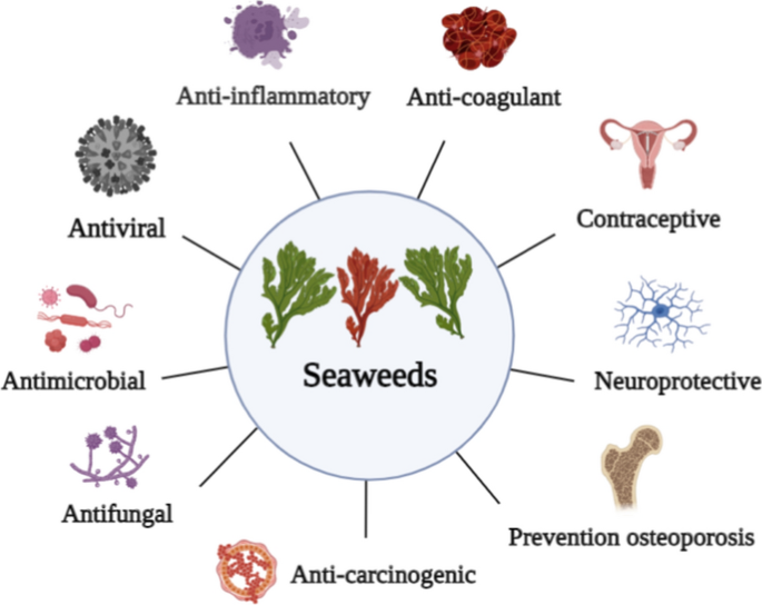 Current application of algae derivatives for bioplastic production: A  review - ScienceDirect