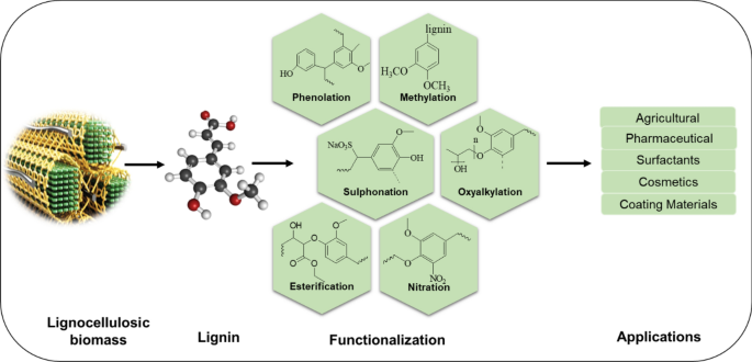Lignin modification and valorization in medicine, cosmetics, environmental  remediation and agriculture: a review | Environmental Chemistry Letters