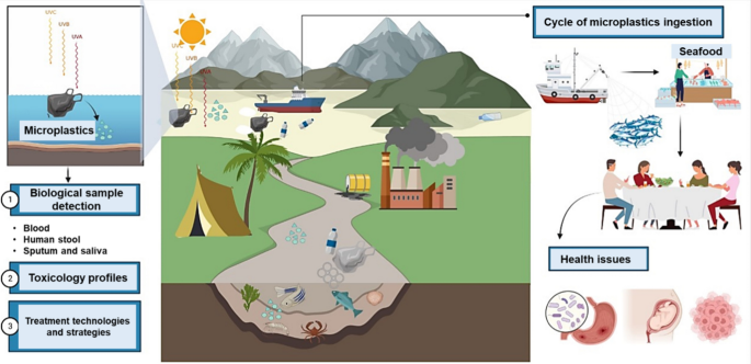 An Overlooked Entry Pathway of Microplastics into Agricultural