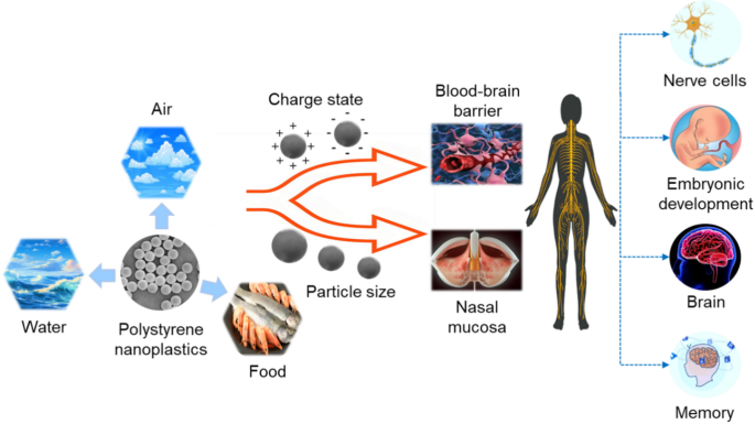 can glutathione break a fast Protein is one of the most talked-about nutrients today, but more isn't always better., From how much protein you actually need to whether protein alone prevent muscle loss, there's lot of Gluta-Vit C Serum: Before &