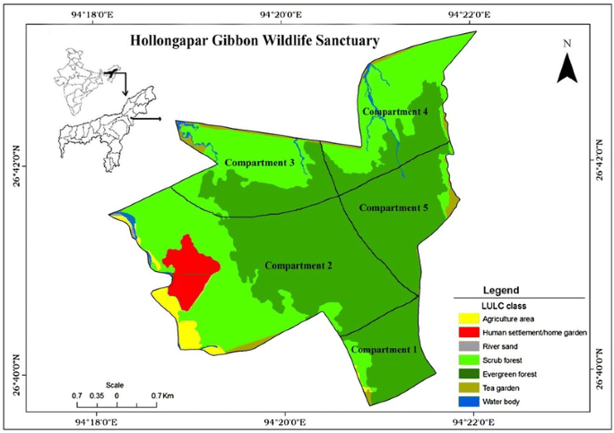 Hoollongapar Gibbon Sanctuary in Assam is the main protected area for this endangered ape