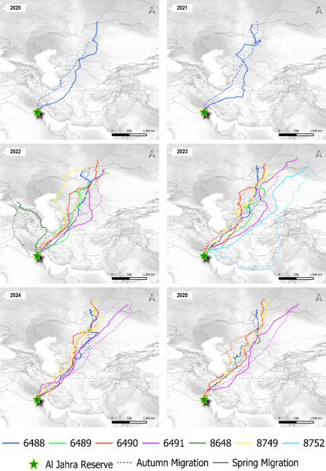 Migration and migratory connectivity of Greater Spotted Eagles (Clanga clanga) wintering at the head of the Arabian Gulf - Journal of Ornithology