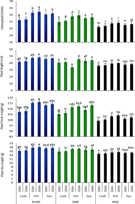 Rhizospheric Addition of Hydrogel Polymer and Zeolite Plus Glutathione  Mitigate the Hazard Effects of Water Deficiency On Common Bean Plants  Through Enhancing the Defensive Antioxidants | Journal of Crop Health