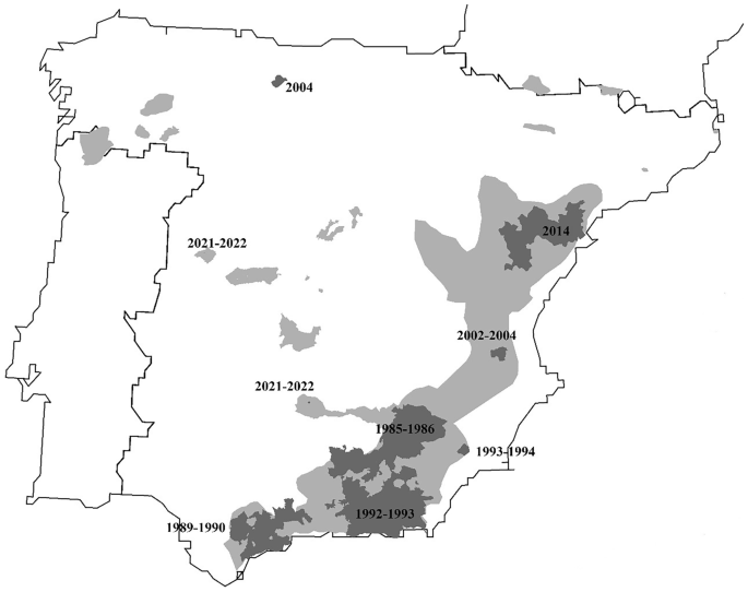 https://media.springernature.com/m685/springer-static/image/art%3A10.1007%2Fs10344-023-01684-0/MediaObjects/10344_2023_1684_Fig3_HTML.png