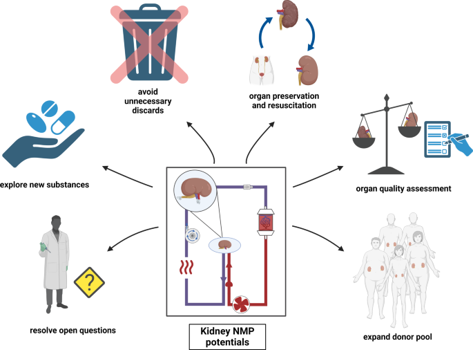 glutathione peroxidase wikipedia Potential use of glutathione as a treatment for Parkinson's disease