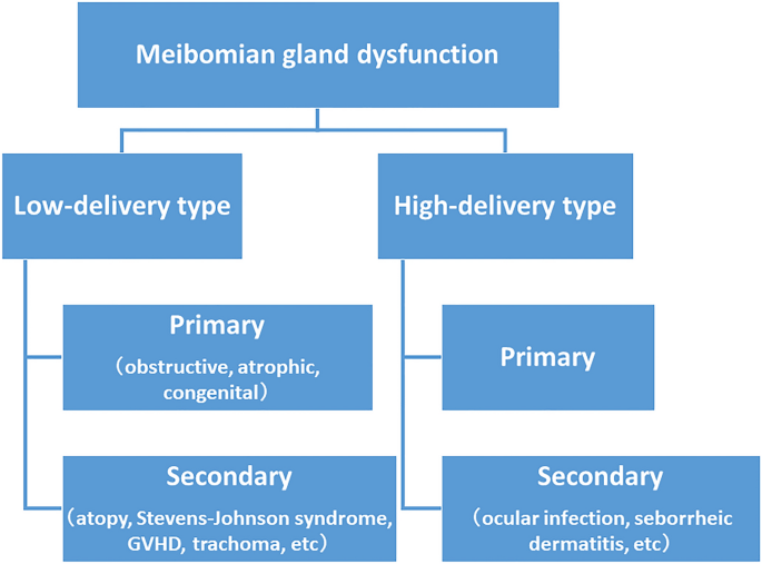 Meibomian Gland Dysfunction Clinical Practice Guidelines