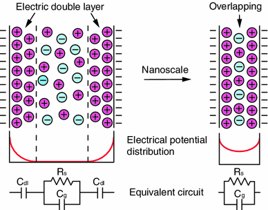 Direct measurement of electric double layer in a nanochannel by electrical  impedance spectroscopy