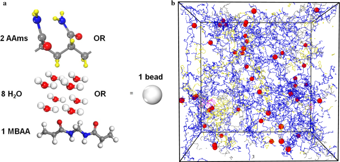 Highly stretchable rubberlike hydrogel with a homogeneous model network