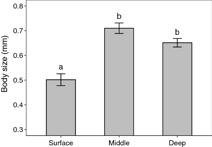 PDF) Diel vertical migration of the copepod Thermocyclops inversus