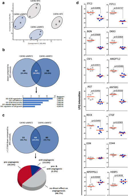 Proteome Profiler Human XL Cytokine Array Kit ARY022B: R&D Systems