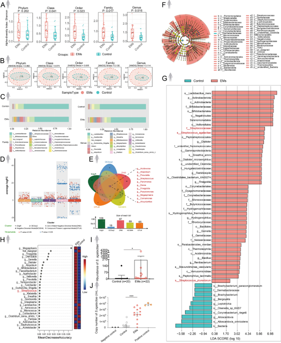 l carnitine and endometriosis Metabolite changes in patients with endometriosis: new potential diagnostic therapeutic targets Streptococcus agalactiae and L-Carnitine in