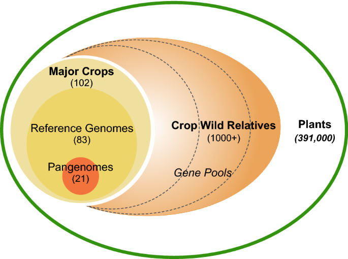 Genebanking plant genetic resources in the postgenomic era | Agriculture  and Human Values | Springer Nature Link