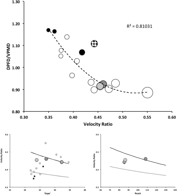 https://media.springernature.com/m685/springer-static/image/art%3A10.1007%2Fs10493-021-00612-8/MediaObjects/10493_2021_612_Fig8_HTML.png