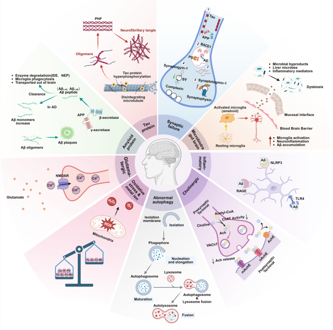 medical medium glutathione benefits Programmed cell death: a promising management for Alzheimer's disease | Apoptosis