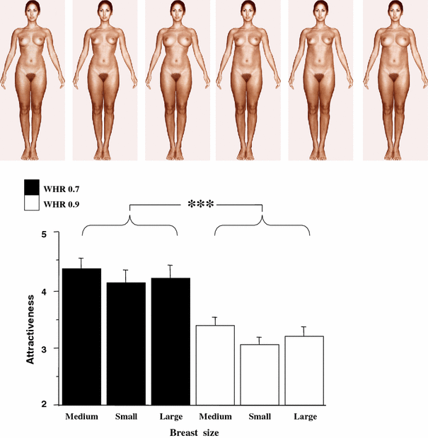 Eye-Tracking of Men's Preferences for Waist-to-Hip Ratio and