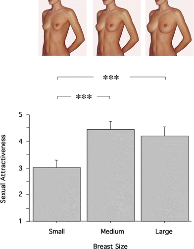 Eye Tracking of Men's Preferences for Female Breast Size and Areola  Pigmentation