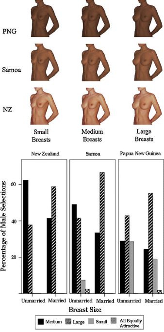 Men's Preferences for Women's Breast Morphology in New Zealand