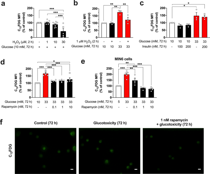 Inhibition of mTOR prevents glucotoxicity-mediated increase of SA-beta-gal, p16^INK4a, and insulin hypersecretion, without restoring electrical features of mouse pancreatic islets